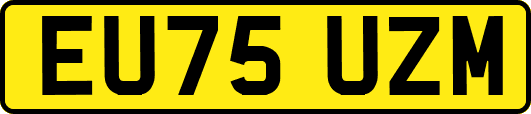 EU75UZM