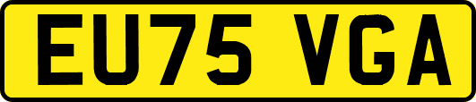 EU75VGA