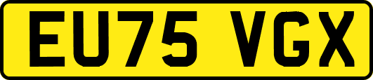 EU75VGX