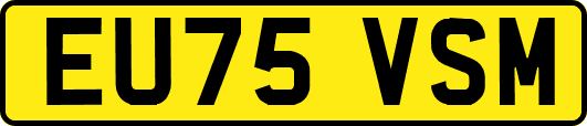 EU75VSM