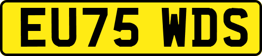 EU75WDS