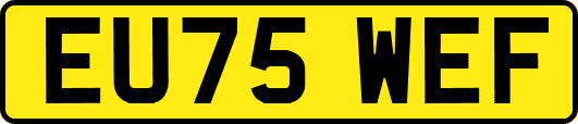 EU75WEF