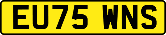 EU75WNS