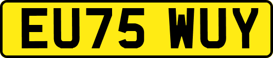 EU75WUY