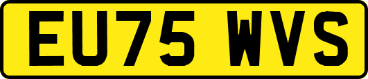 EU75WVS