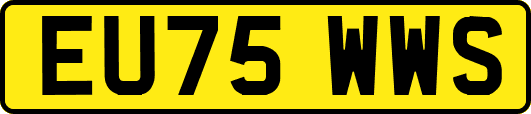 EU75WWS