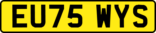 EU75WYS