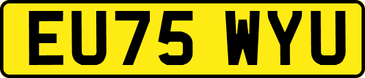 EU75WYU