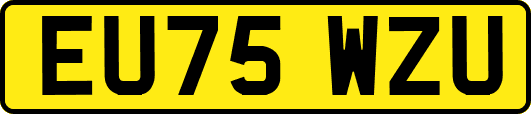EU75WZU