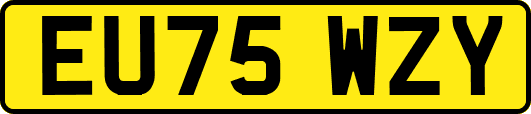 EU75WZY