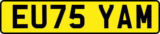 EU75YAM