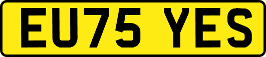 EU75YES