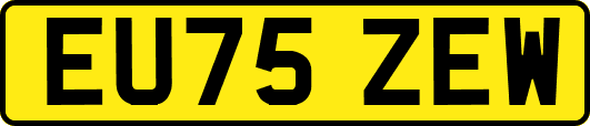 EU75ZEW