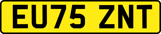 EU75ZNT