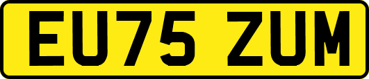 EU75ZUM