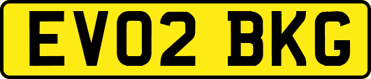 EV02BKG