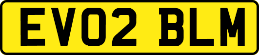 EV02BLM