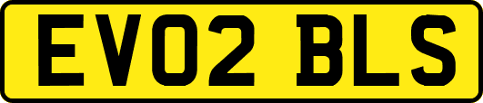 EV02BLS