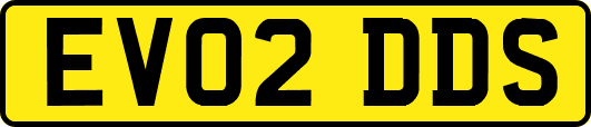 EV02DDS
