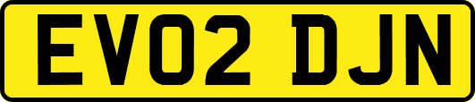 EV02DJN