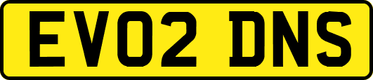 EV02DNS