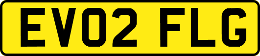 EV02FLG