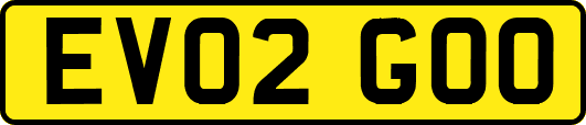 EV02GOO