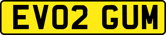 EV02GUM