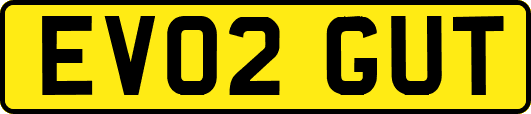 EV02GUT