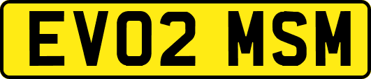 EV02MSM