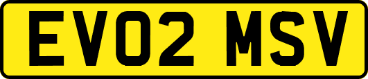 EV02MSV
