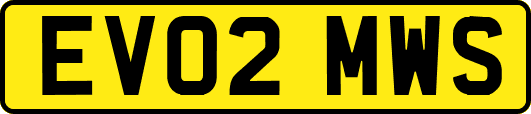 EV02MWS