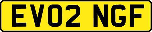 EV02NGF