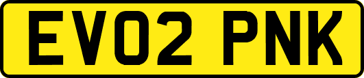 EV02PNK