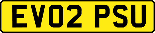 EV02PSU