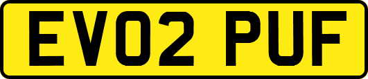 EV02PUF