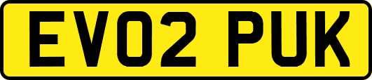 EV02PUK