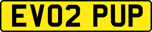 EV02PUP