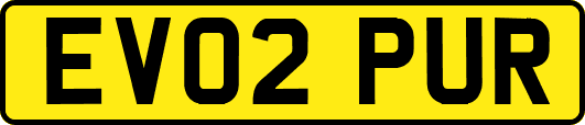 EV02PUR