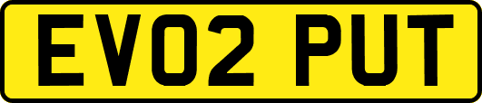 EV02PUT