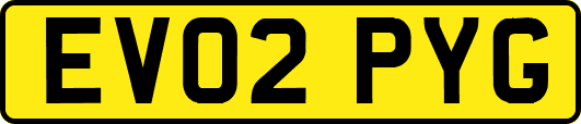 EV02PYG