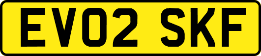 EV02SKF