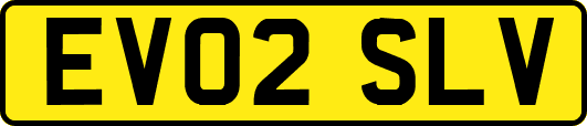 EV02SLV
