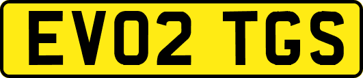 EV02TGS