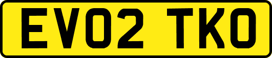 EV02TKO