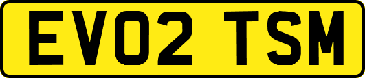 EV02TSM