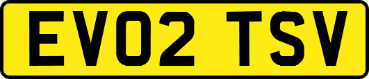 EV02TSV