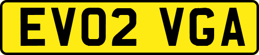 EV02VGA