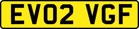 EV02VGF