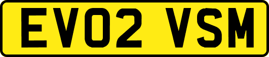 EV02VSM
